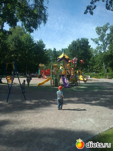 19 ����: ����������� 2013