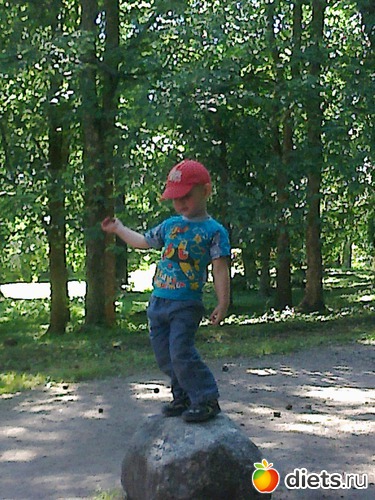 20 ����: ����������� 2013