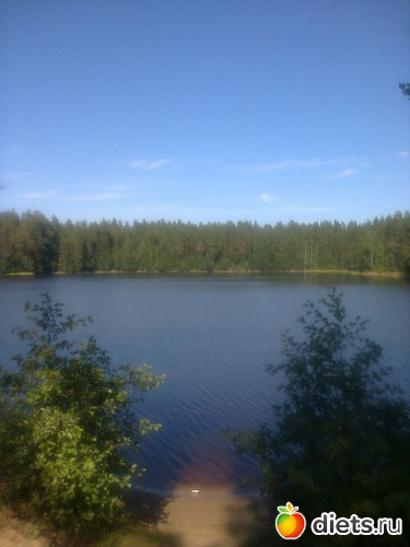 1 ����: ����������� 2013