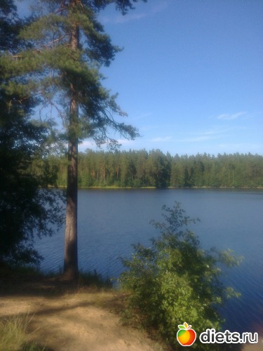 2 ����: ����������� 2013