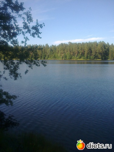 5 ����: ����������� 2013