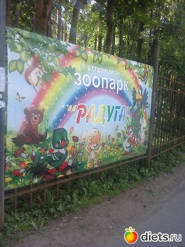 6 ����: ����������� 2013