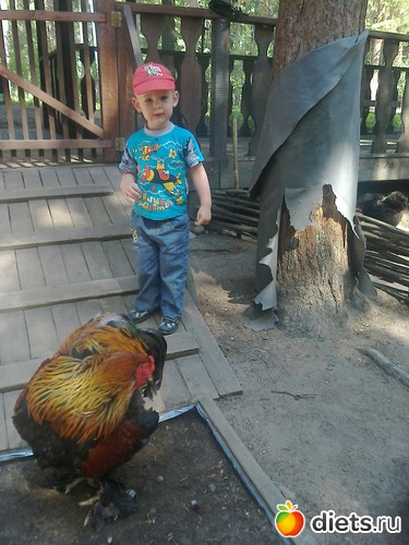 7 ����: ����������� 2013