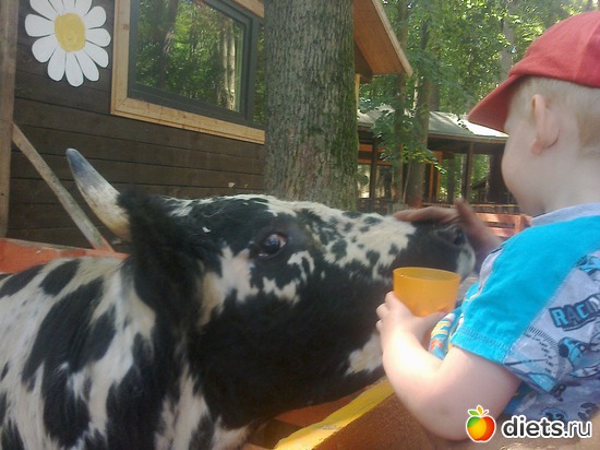 8 ����: ����������� 2013