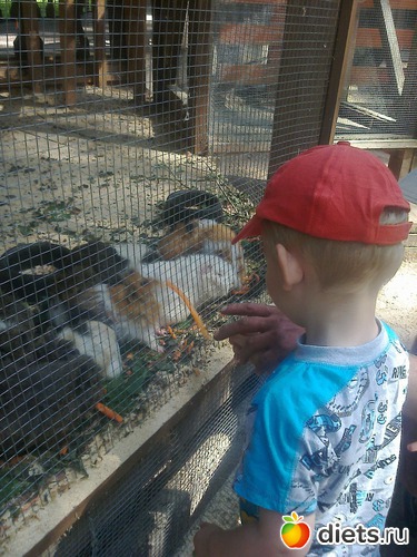 9 ����: ����������� 2013