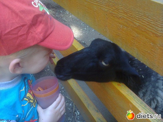 10 ����: ����������� 2013