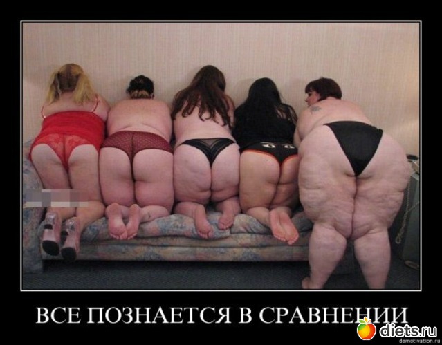 50 ����: ���������