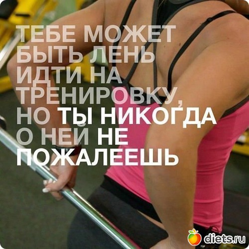 51 ����: ���������