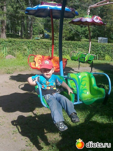 12 ����: ����������� 2013