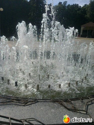 13 ����: ����������� 2013