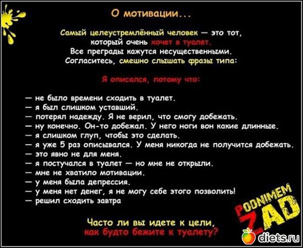 81 ����: ���������