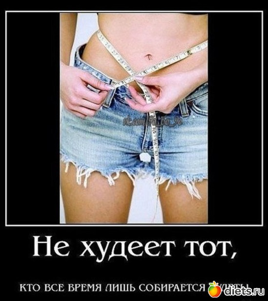 82 ����: ���������