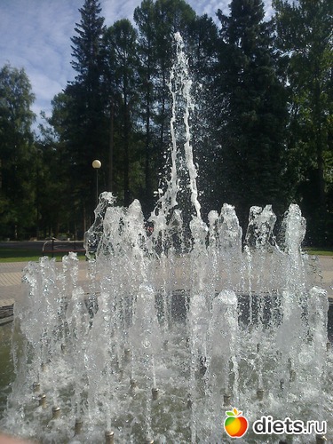 16 ����: ����������� 2013