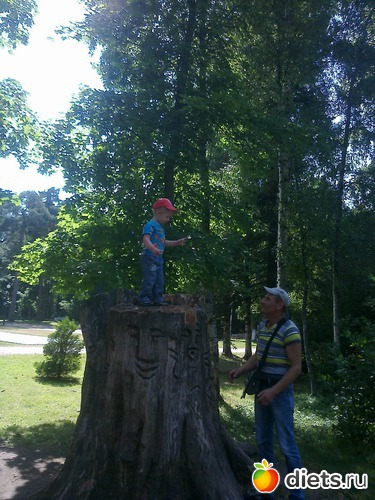 18 ����: ����������� 2013