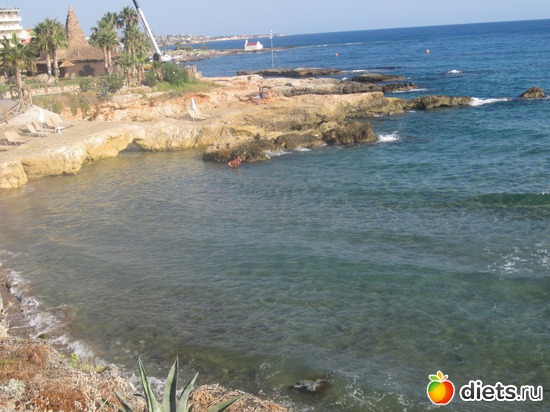 �����-���� ������ ��������, ������: �.���� ������ 2013