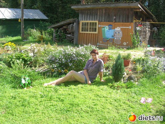 5 ����: ���� 2013