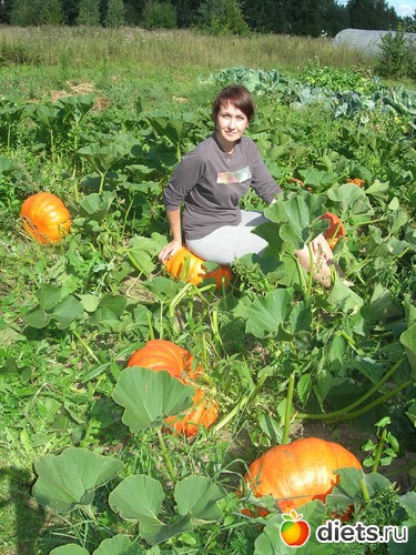 7 ����: ���� 2013