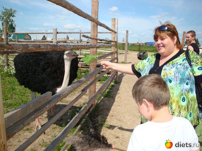 ��� ����� � ���� � ����� ������ ����., ������: ��� ���� � �����.