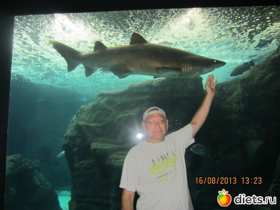 9 ����: �.���� ������ 2013