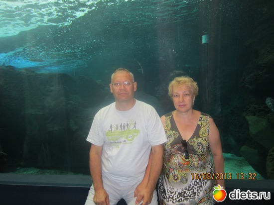 � ���������, ������: �.���� ������ 2013