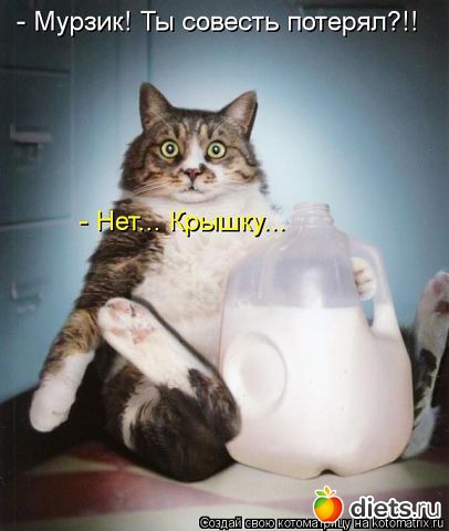 ТОЛЬКО КОТЫ И КОШКИ