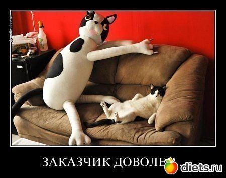 ТОЛЬКО КОТЫ И КОШКИ