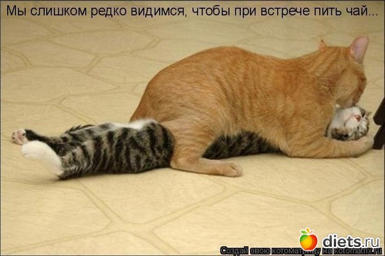 591 фото: Для постов