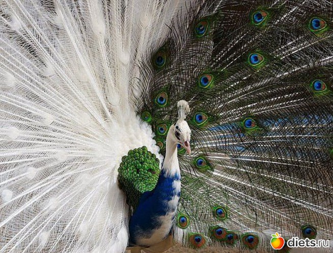 1 фото: Это красиво...