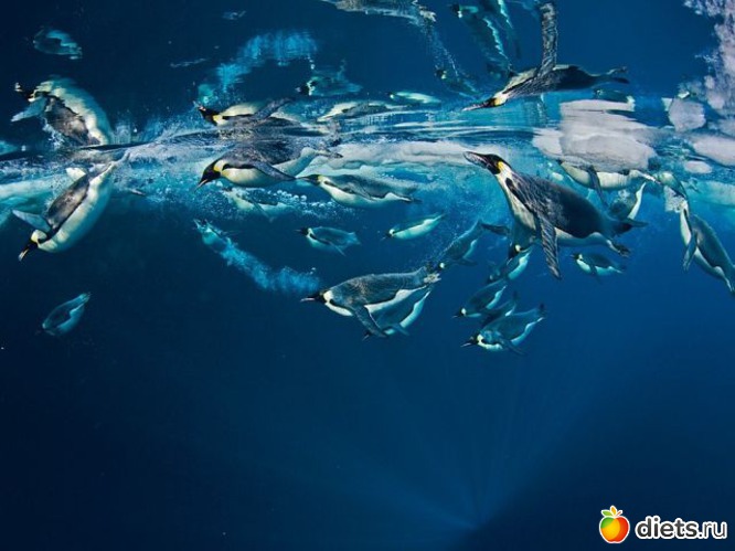 2 фото: Это красиво...