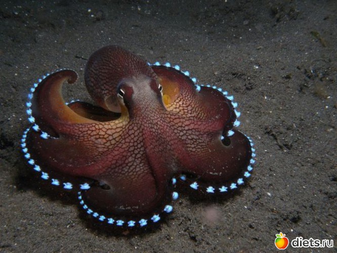 3 фото: Это красиво...