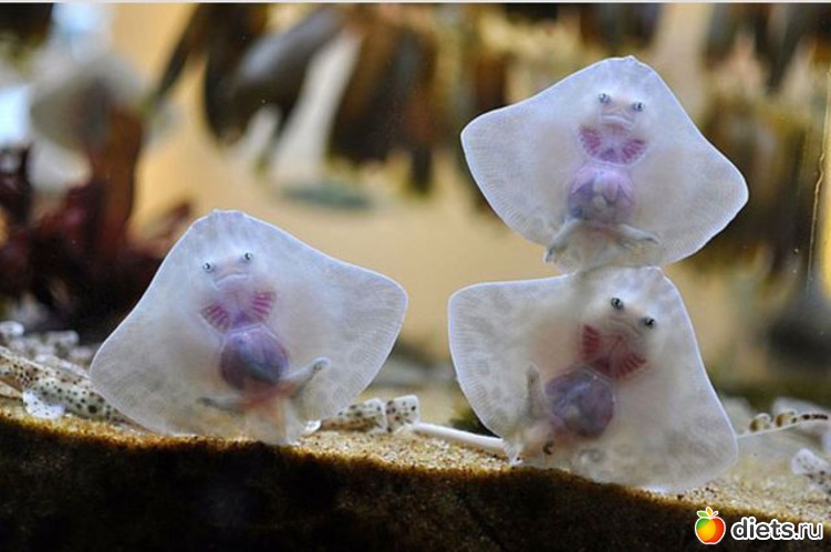 5 фото: Это красиво...