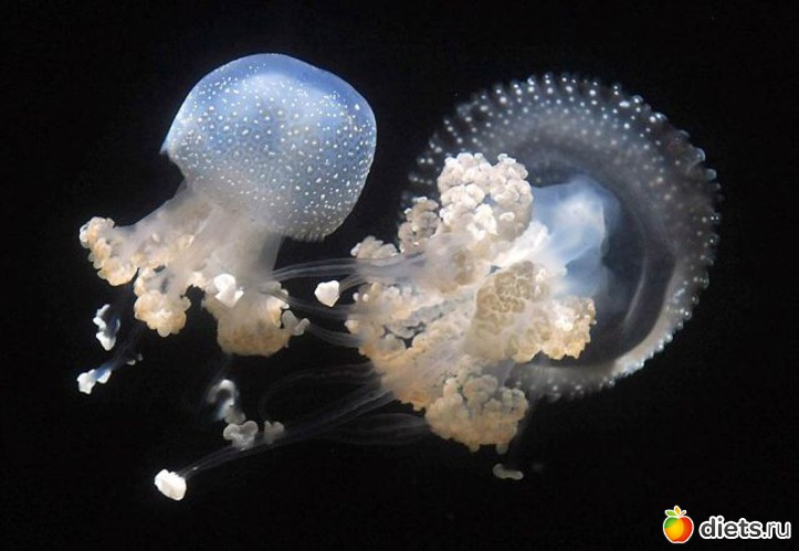 6 фото: Это красиво...