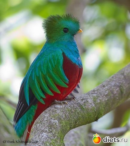 Это красиво...