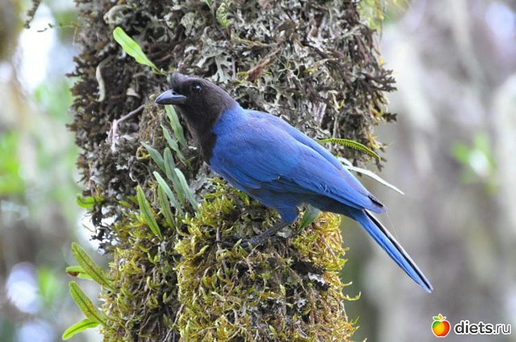 9 фото: Это красиво...