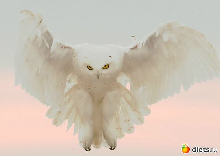 15 фото: Это красиво...