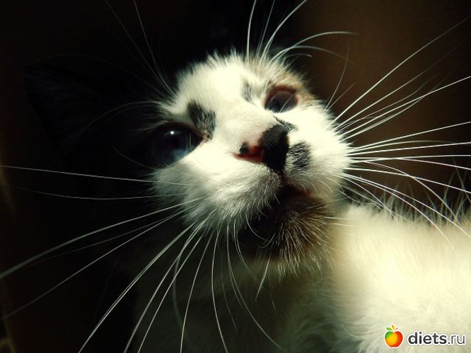 16 фото: Это красиво...