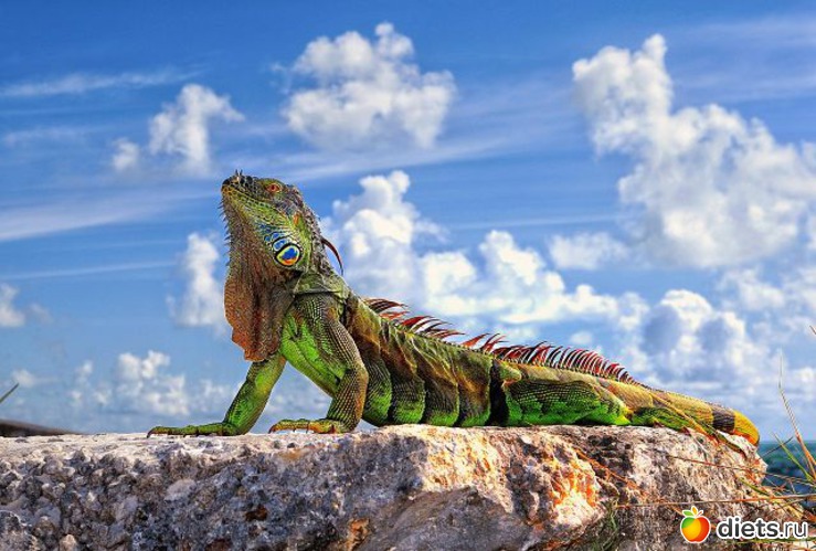 17 фото: Это красиво...