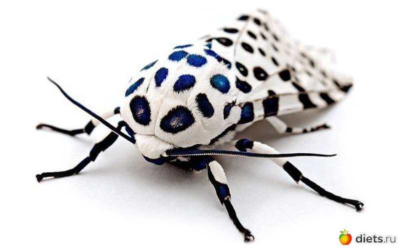 19 фото: Это красиво...