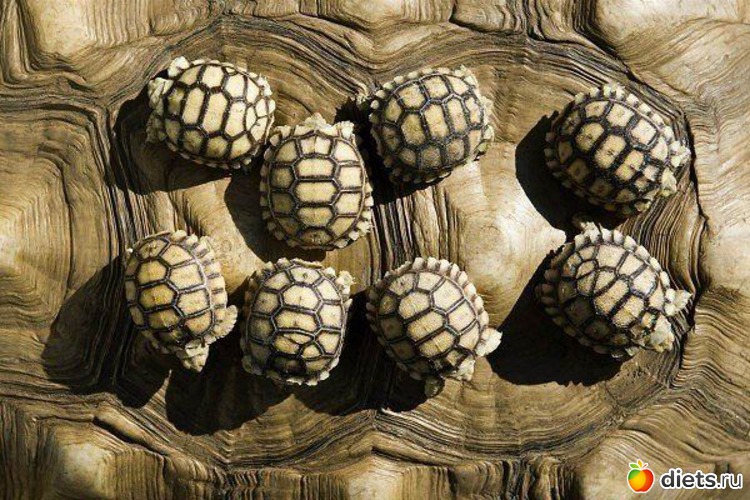 20 фото: Это красиво...