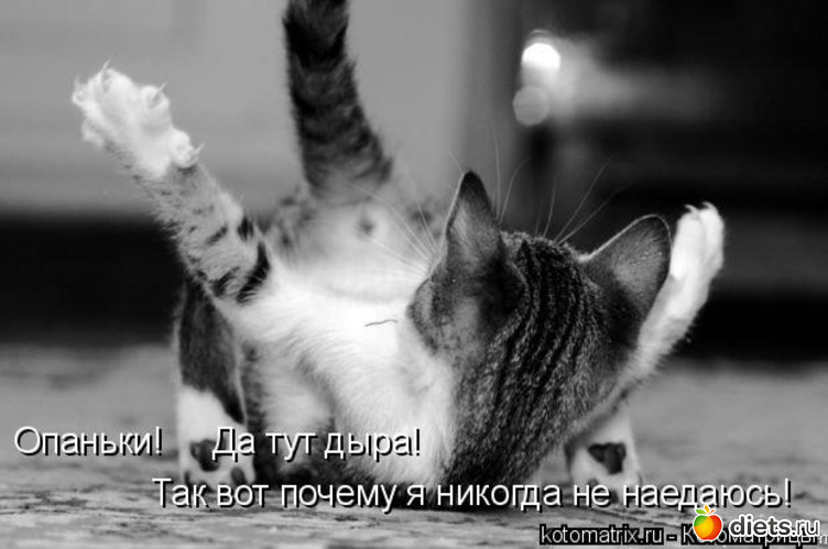 23 ����: �����������