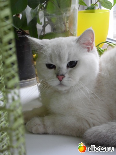 1 ����: ��� ������