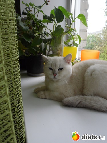 2 ����: ��� ������