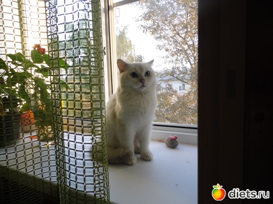 3 ����: ��� ������