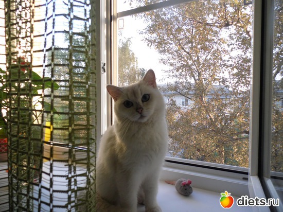 4 ����: ��� ������