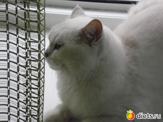 5 ����: ��� ������