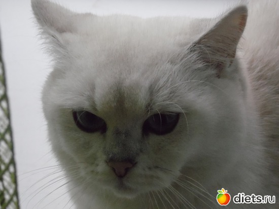 6 ����: ��� ������