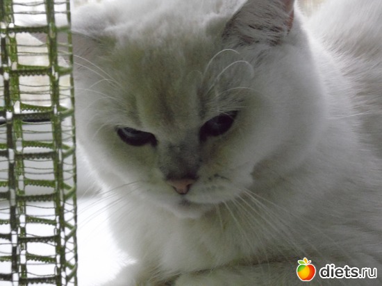 9 ����: ��� ������