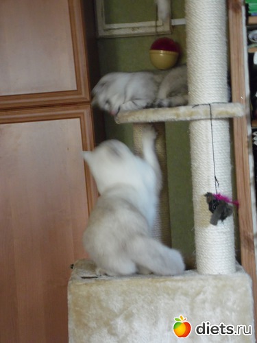 10 ����: ��� ������