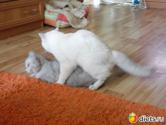 12 ����: ��� ������