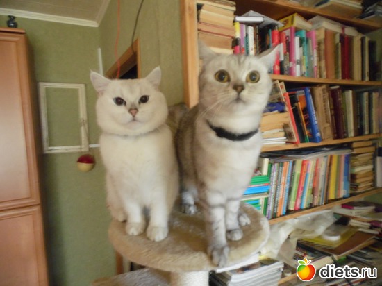 14 ����: ��� ������